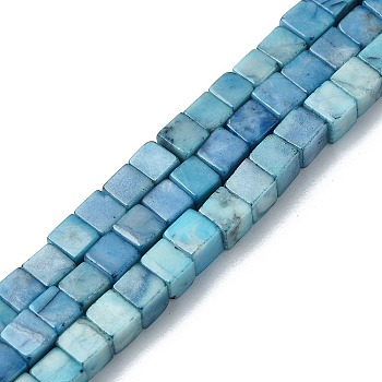 Natural Howlite Beads Strands, Dyed, Cube, Sky Blue, 4x4x4mm, Hole: 1mm, about 103pcs/strand, 15.94 inch(40.5cm)