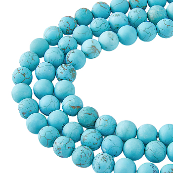 3 Strands Natural Howlite Beads Strands, Frosted, Round, Dyed & Heated, Turquoise, 6mm, Hole: 1mm, about 63pcs/strand, 15.5''(39.37cm)