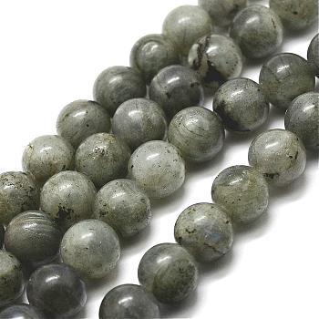 Natural Labradorite Bead Strands, Round, 4mm, Hole: 1mm, about 91pcs/strand, 15 inch