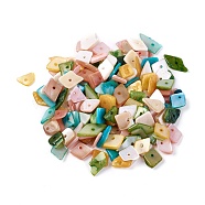 Shell Beads, Dyed, Nuggets, Mixed Color, 6.2~15.2x4.3~7.3x0.4~3.8mm, Hole: 1mm(X-BSHE-I008-13)