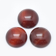 Natural Carnelian Cabochons, Half Round, Dyed, 24.5~25x4~7mm(G-E492-A-09)
