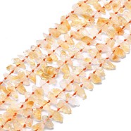 Natural Citrine Beads Strands, Nuggets, 16~25x4.5~10x4.5~10mm, Hole: 1mm, about 46~47pcs/strand, 15.55 inch(39.5cm)(G-F715-071A)