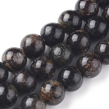 Natural Biotite Beads Strands, Round, Black, 8mm, Hole: 1mm, about 50pcs/Strand, 15.91 inch(40.4cm)