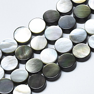 Natural Black Lip Shell Beads, Flat Round, 8x3mm, Hole: 0.6mm(SSHEL-N036-034C-01)