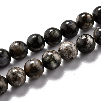 Natural Glaucophane Beads Strands, Round, 8.5mm, Hole: 1.2mm, about 47pcs/strand, 15.67 inch(39.8cm)