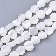Trochus Shell Beads Strands, Nuggets, Creamy White, 6~9.5x7~9.5x4.5~7mm, Hole: 1mm, about 49~52pcs/Strand, 15.55 inch~16.02 inch(SHEL-T016-10)