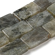 Natural Labradorite Beads Strands, Rectangle, 20x12x3mm, Hole: 1mm, about 20pcs/strand, 15.75''(40cm)(G-M420-G05-01)