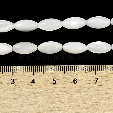 Brins de perles de coquillages naturels de troca(BSHE-G036-06B)-4