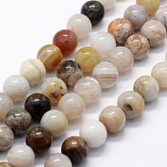 Natural Bamboo Leaf Agate Beads Strands, Round, 10mm, Hole: 1mm, about 37pcs/strand,  14.76 inch(37.5cm)(G-I199-13-10mm)