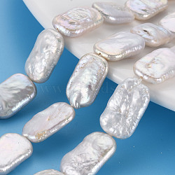 Natural Keshi Pearl Beads Strands, Cultured Freshwater Pearl, Rectangle, Seashell Color, 17~20x11~12x4~7mm, Hole: 0.6mm, about 20~21pcs/strand, 14.96 inch(38cm)(PEAR-S020-D05)