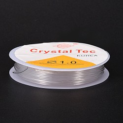 Round Crystal Elastic Stretch Thread, for Bracelets Gemstone Jewelry Making Beading Craft, Clear, 1mm, about 4.3 yards(4m)/roll(EW-Z001-D01-1.0mm)