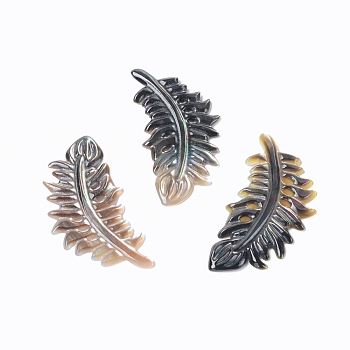 Natural Black Lip Shell Cabochons, Feather, 41x20x2mm