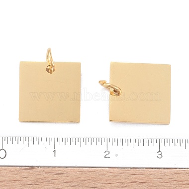 201 Stainless Steel Charms(STAS-S105-T630-2)-4