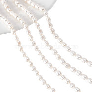 2 Strands Natural Cultured Freshwater Pearl Beads Strands, Rice, Creamy White, 4~5mm, Hole: 0.8mm, about 50~55pcs/strand, 13.7 inch(PEAR-NB0001-22)
