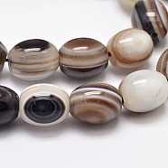 Natural Dyed Stripe Agate Oval Bead Strands, Eye Agate Beads, Black, 12x10mm, Hole: 1.5mm, about 34pcs/strand, 15.74 inch(G-L288-01A)