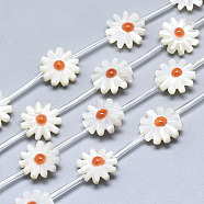Natural White Shell Mother of Pearl Shell Beads, with Enamel, Flower, Coral, 11.5x11.5x4mm, Hole: 0.8mm(SSHEL-N036-001B)