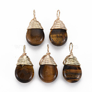 Natural Tiger Eye Pendants, with Golden Brass Findings, Teardrop, 24~26x13x8mm, Hole: 4~5x2~3mm(G-S359-294C)