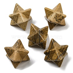 Natural Picture Jasper Beads, No Hole/Undrilled, Merkaba Star, 25x25x25mm(G-A206-01B-56)