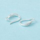 Brass Micro Pave Clear Cubic Zirconia Ear Hooks(ZIRC-P100-05S)-3