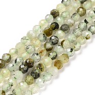 Natural Prehnite Beads Strands, Faceted, Round, 3mm, Hole: 0.6mm, about 126pcs/strand, 15.16 inch(38.5cm)(G-C009-A20)