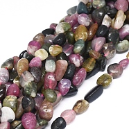 Natural Tourmaline Beads Strands, Chip, 8~12x5~8x4~5mm, Hole: 0.8mm, about 47pcs/Strand, 15.75 inch(40cm)(G-D0004-A02-06)