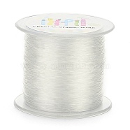Korean Elastic Crystal Thread, Clear, 1mm, about 109.36 yards(100m)/roll(EW-N004-1mm-01)