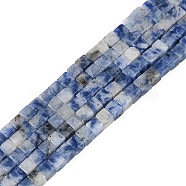 Natural Blue Spot Jasper  Beads Strands, Cube, 3.5x3.5x3.5mm, Hole: 0.7mm, about 110pcs/strand, 15.16''(38.5cm)(G-B129-A10-01)