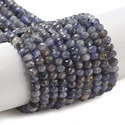 Natural Tanzanite Beads Strands, Faceted, Rondelle, 4x3mm, Hole: 0.8mm, about 135pcs/strand, 14.96''(38cm)(G-G161-B14-01)