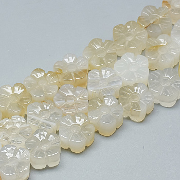 Carved Natural White Agate Beads Strands, Plum Blossom, 13~14x13~14x7~8mm, Hole: 1mm, about 16pcs/strand, 8.2 inch~8.6 inch