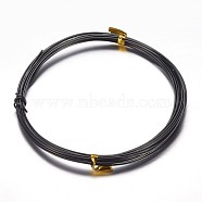 Round Aluminum Craft Wire, for DIY Arts and Craft Projects, Black, 9 Gauge, 3mm, 5m/roll(16.4 Feet/roll)(AW-D009-3mm-5m-10)