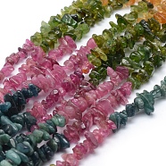 Natural Tourmaline Beads Strands, Grade A+, Chip, 5~7mm, Hole: 0.8mm, about 16 inch(40.6cm)(G-P332-73C)