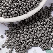 MIYUKI Round Rocailles Beads, Japanese Seed Beads, 8/0, (RR2317) Matte Opaque Gray, 3mm, Hole: 1mm, about 422~455pcs/10g(X-SEED-G008-RR2317)