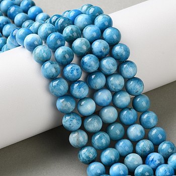 Natural Apatite Beads Strands, Round, 7.8~8.8mm, Hole: 0.8mm, about 52~57pcs/strand, 15.08~15.55 inch(38.3~39.5cm)