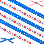 2 Rolls 2 Styles Independence Day Themes Polyester Ribbon, for Garment Accessories, Gift Decoration, Mixed Color, 3/8 inch(9.5mm), about 10.00 Yards(9.14m)/roll, 1 roll/style(OCOR-GF0004-50B)