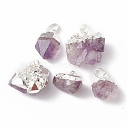 Rough Raw Natural Amethyst Pendants, Nuggets Charms, with Brass Snap on Bails, Silver, 21~33x14~28x11~19mm, Hole: 7x5mm(G-E590-05S)