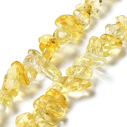 Handmade Lampwork Beads Strands, Chip, Yellow, 2.5~8x6~15x5~8mm, Hole: 0.9mm, 31.10~31.50''(79~80cm)(G-M205-82)