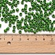 トーホー6/0ラウンドビーズ(SEED-XTR06-0047)-3