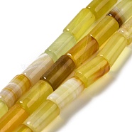 Natural Agate Beads Strands, Dyed & Heated, Column, Champagne Yellow, 8~8.5x14.5~16mm, Hole: 1.6mm, about 12pcs/strand, 7.20~7.48''(18.3~19cm)(G-H295-E01-14)