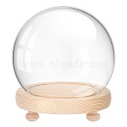 Elite 1Pc Glass Dome Cover, Decorative Display Case, Round Bell Jar Terrarium with Wood Base, Clear, 120mm(DJEW-PH0001-40)