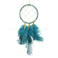 Natural Apatite Woven Net/Web with Feather Wall Hanging Decoration, with Brass Finding, for Home Offices Amulet Ornament, 240~290x57x4mm(HJEW-JM01222-02)