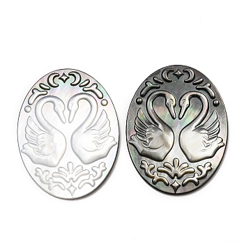 Natural Black Lip Shell Carved Cabochons, Oval with Cameo 2 Swan Pattern, Black, 40x30x2.5mm