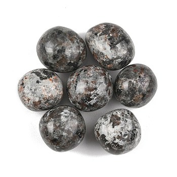 Natural Syenite Beads, Tumbled Stones, No Hole/Undrilled, Nuggets, 20~56x18~30.5x8~28mm