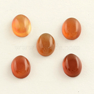 Dyed Natural Brazil Red Agate Oval Cabochons, 8x6x3mm(G-R261-13)