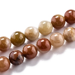 Natural Petrified Wood Beads Strands, Round, 10.5mm, Hole: 1.2mm, about 37pcs/strand, 15.55''(39.5cm)(G-O199-06C)