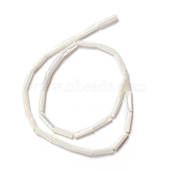 Natural Trochid Shell/Trochus Shell Beads, Straight Tube, Seashell Color, 14x3.5~4mm, Hole: 0.8mm, about 29pcs/strand, 15.98 inch(40.6cm)(SSHEL-O001-26B)