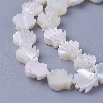 Shell Beads Strands, Scallop Shell Shape, 9.5~10x9.2~9.5x2.3~4mm, Hole: 0.8mm, about 40pcs/strand, 15.19 inch(38.6cm)