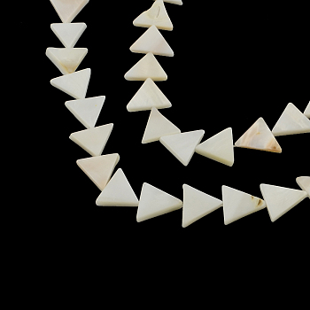 Triangle Natural Sea Shell Beads Strands, 11~12x12~15x2~3mm, Hole: 0.5mm, about 30pcs/strand, 13.3 inch