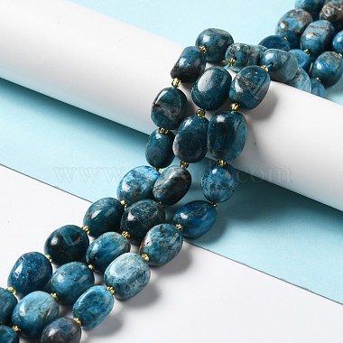 Natural Apatite Beads Strands(G-B028-B09)-2