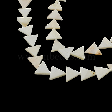 12mm Triangle Other Sea Shell Beads
