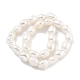 Natural Cultured Freshwater Pearl Beads Strands(PEAR-P062-24B)-3